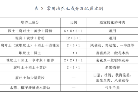 关于花卉栽培的那些小秘密——栽培基质大揭秘